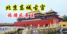奸淫丝袜贱货中国北京-东城古宫旅游风景区
